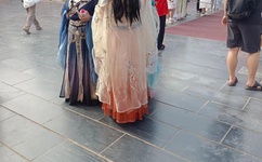 奥运会在线直播观看